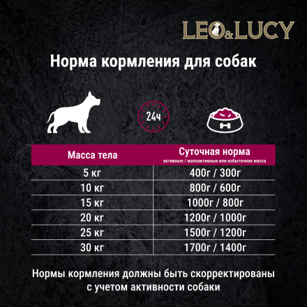 LEO&amp;LUCY влажный холистик корм для взрослых и пожилых собак всех пород с индейкой и ягодами, паштет, в консервах - 400 г х 24 шт