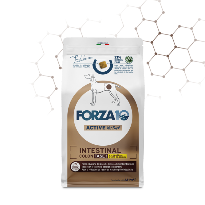 Forza10 Active Vet Diet Intestinal Colon Fase 1 сухой корм для собак для снижения нарушений кишечного всасывания при хронических колитах, с ягненком и белым сорго - 1,5 кг