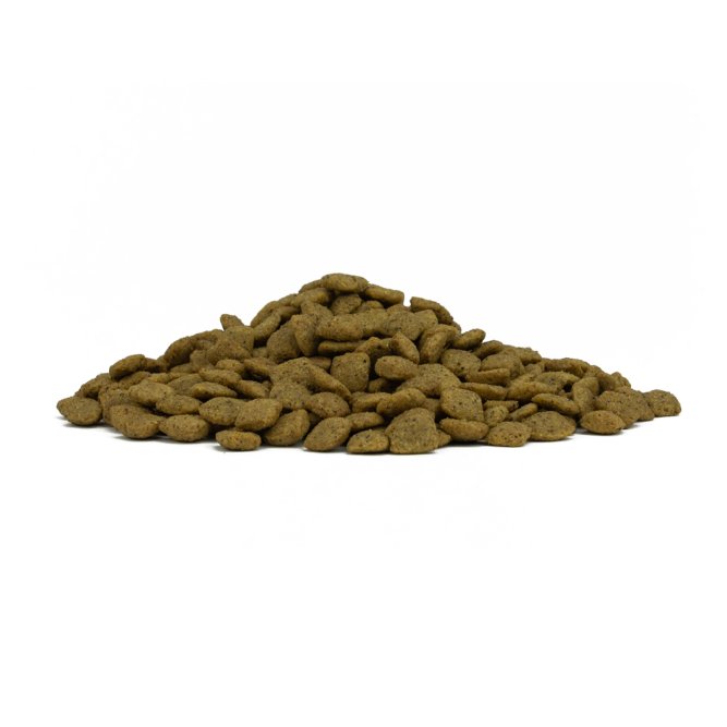 Forza10 Active Vet Diet Intestinal Colon Fase 1 сухой корм для собак для снижения нарушений кишечного всасывания при хронических колитах, с ягненком и белым сорго - 1,5 кг