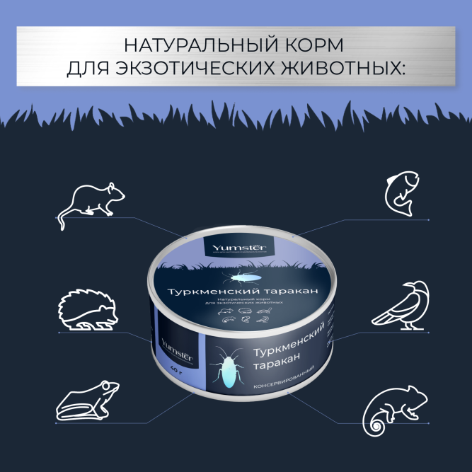Yumster туркменский таракан консервированный - 40 г