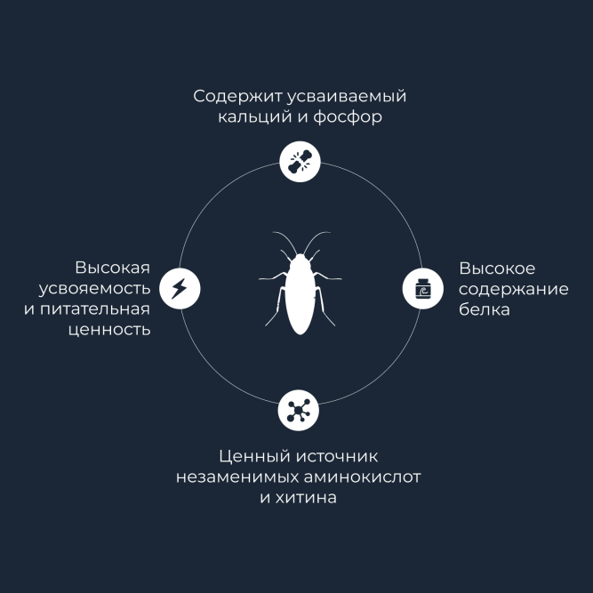 Yumster туркменский таракан консервированный - 40 г