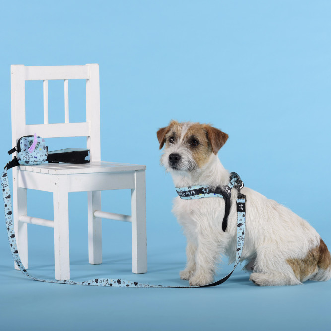 United Pets Complete me Writing поводок для собак, 140 см, 16 мм, голубой с рисунком