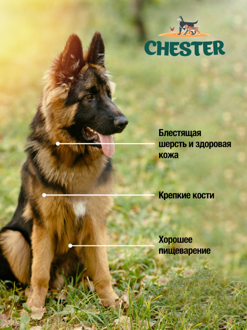 Chester влажный корм для взрослых собак всех пород, с ягненком и черникой, в консервах - 850 г х 6 шт