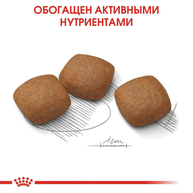 Royal Canin Maxi Joint Care сухой корм для собак крупных пород с заболеваниями суставов - 10 кг