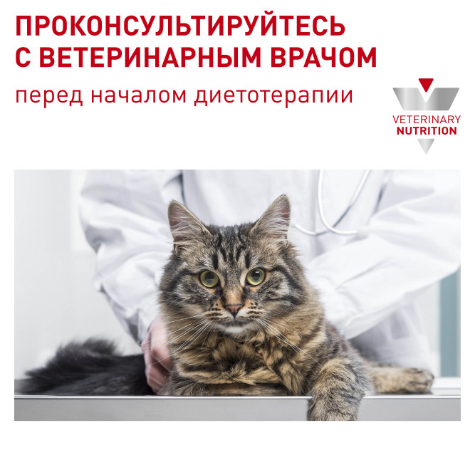 Royal Canin Senior Consult Stage сухой корм с птицей для пожилых кошек и котов всех пород старше 7 лет без видимых признаков старения - 400 г
