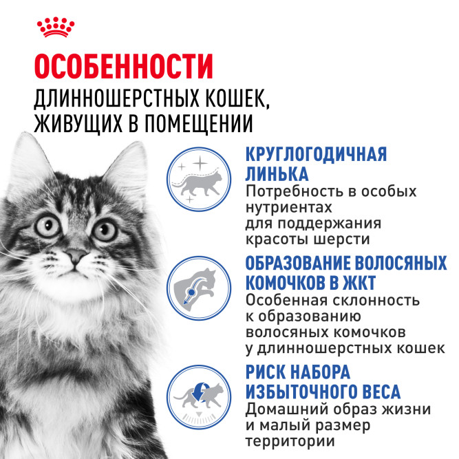 Royal Canin Indoor Long Hair сухой корм для домашних длинношерстных кошек - 400 г