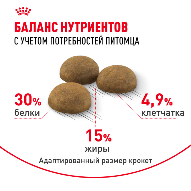 Royal Canin Indoor Long Hair сухой корм для домашних длинношерстных кошек - 400 г