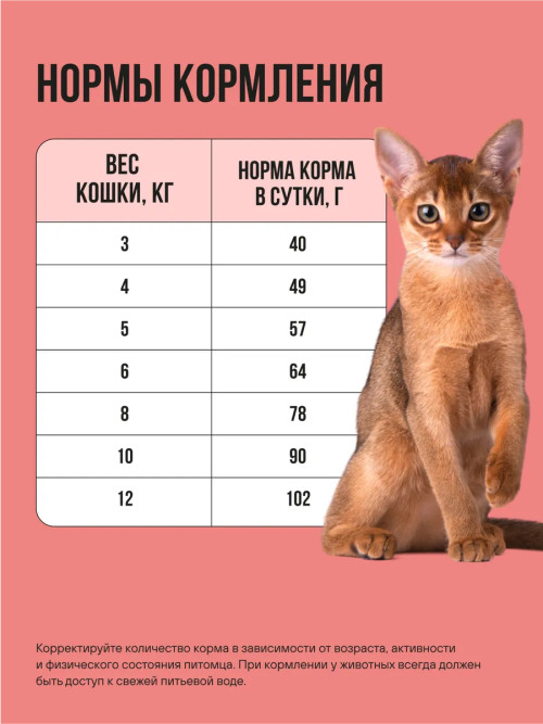 BOWL WOW Fresh Meat сухой корм для взрослых стерилизованных кошек с лососем, белой рыбой и брокколи - 4 кг