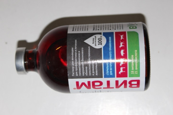 Витам раствор для инъекций для животных - 100 мл