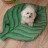 Mr.Kranch лежанка для собак Листочек, большая двусторонняя, 120х73х6 см, зеленая