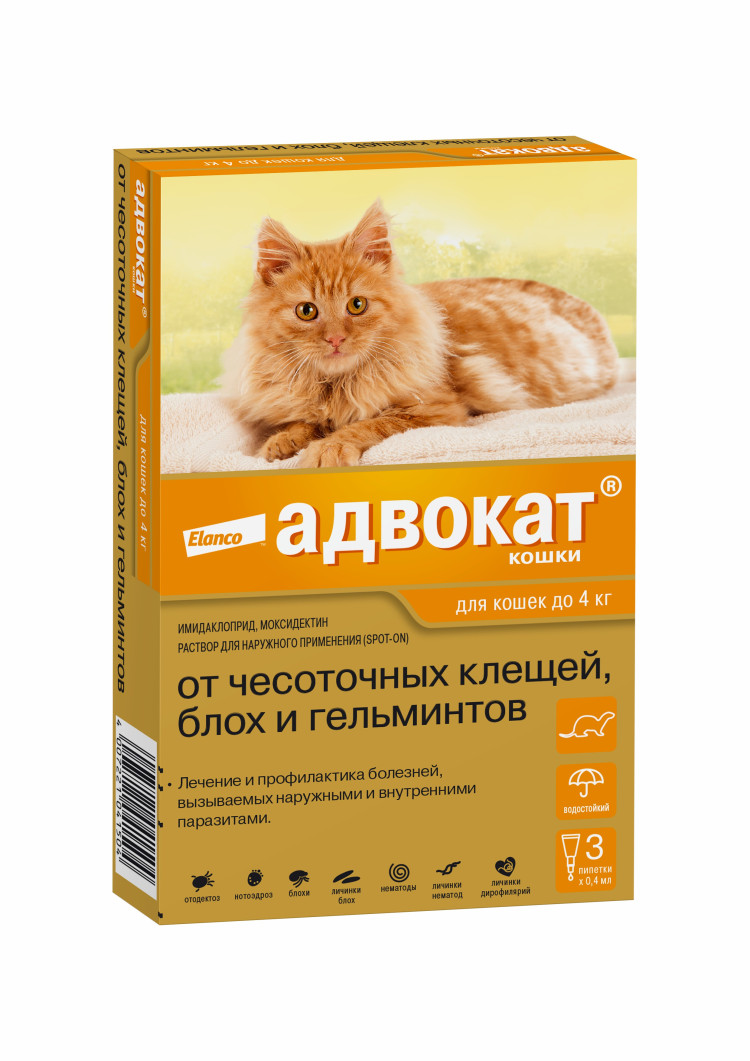 Глистогонные препараты для кошек - что дать кошке от глистов