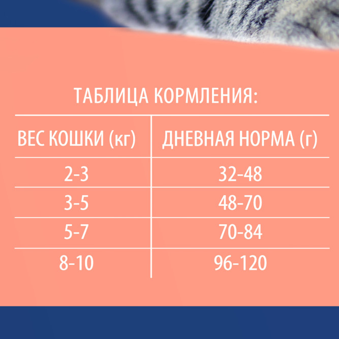 Брит Премиум Cat Sterilised сухой корм для взрослых стерилизованных кошек с курицей и лососем - 8 кг