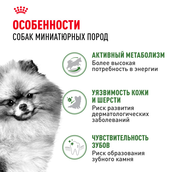 Royal Canin Indoor Life Adult сухой корм для взрослых собак мелких пород, живущих главным образом в помещении - 3 кг
