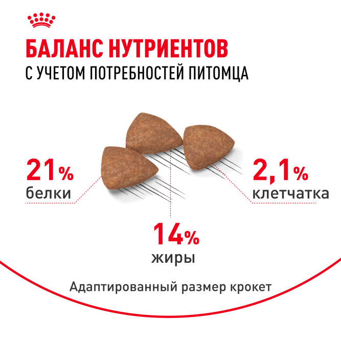 Royal Canin Indoor Life Adult сухой корм для взрослых собак мелких пород, живущих главным образом в помещении - 3 кг