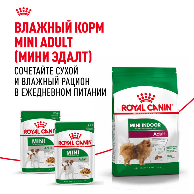 Royal Canin Indoor Life Adult сухой корм для взрослых собак мелких пород, живущих главным образом в помещении - 3 кг