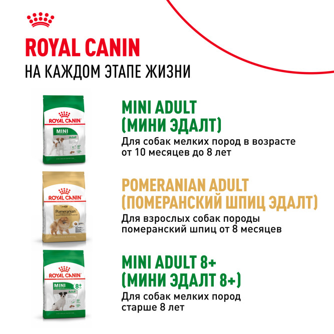 Royal Canin Indoor Life Adult сухой корм для взрослых собак мелких пород, живущих главным образом в помещении - 3 кг
