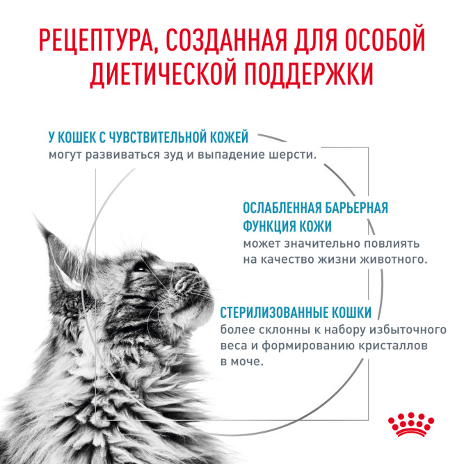 Royal Canin Skin &amp; Coat сухой диетический корм для стерилизованных кошек с чувствительной кожей - 3,5 кг
