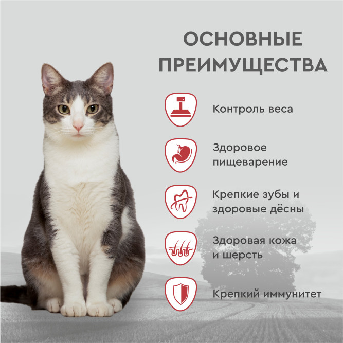 Secret Premium сухой корм для взрослых кошек с ягнёнком - 2 кг
