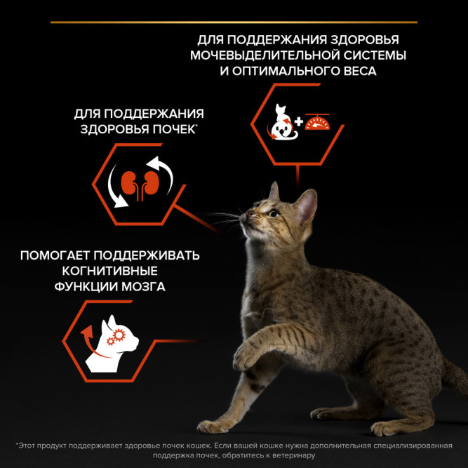 Pro Plan Adult Sterilised Vital Functions сухой корм для взрослых стерилизованных кошек для поддержания функций почек, мозга и иммунитета, с лососем - 10 кг