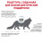 Royal Canin Anallergenic сухой корм для взрослых кошек с аллергической реакцией на корм - 2 кг