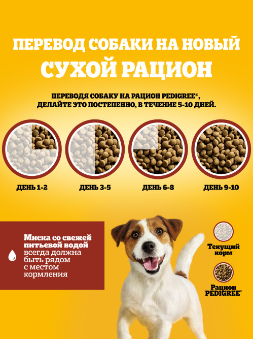 Pedigree сухой корм для взрослых собак миниатюрных пород, с говядиной - 600 г