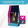 Изображение товара Сухой корм Eukanuba Cat Senior для пожилых кошек с домашней птицей - 2 кг