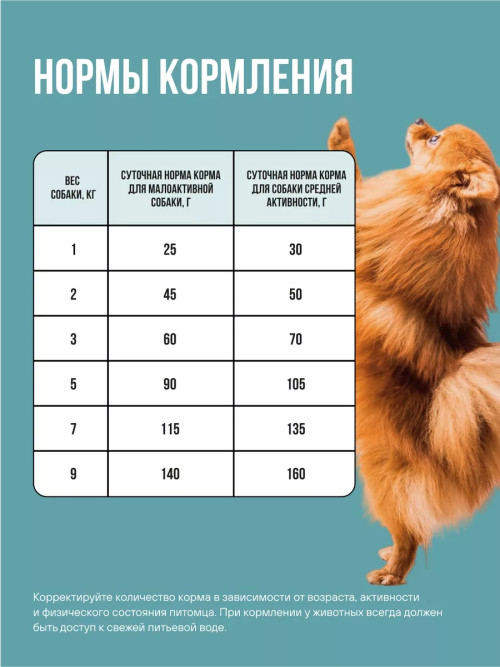 BOWL WOW сухой корм для взрослых собак мелких пород с индейкой, рисом и розмарином - 800 г