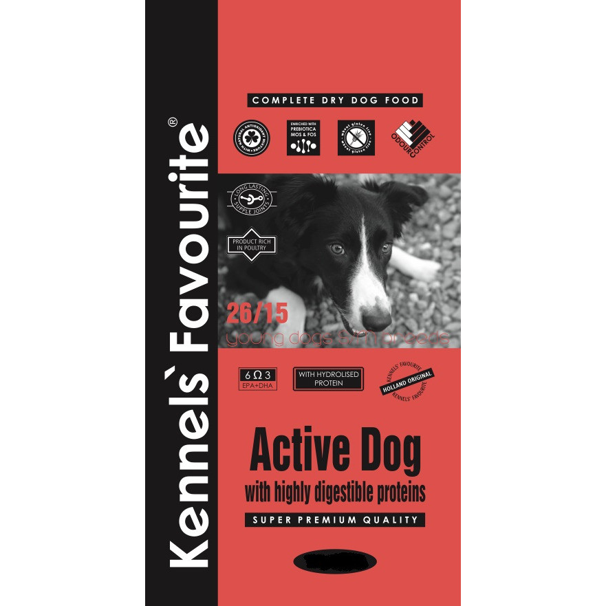 Запросы active dog