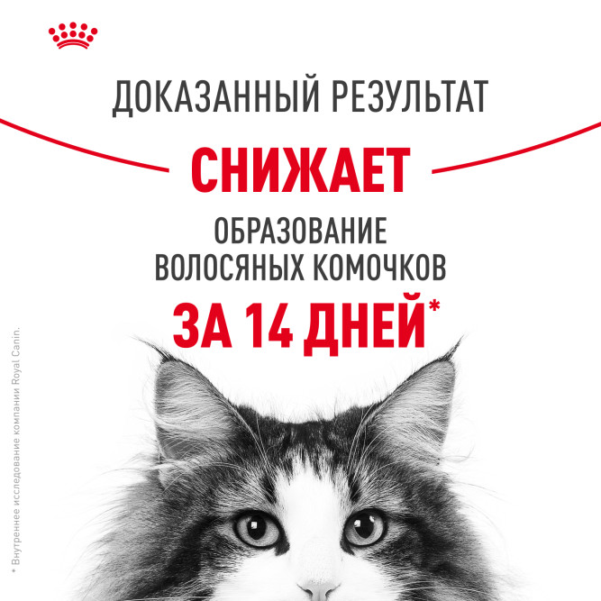 Royal Canin Hairball Care сухой корм для взрослых кошек для профилактики образования волосяных комочков - 10 кг