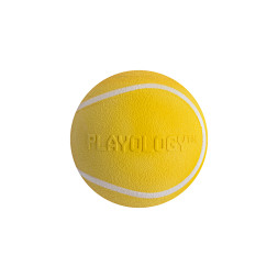 Playology SQUEAKY CHEW BALL хрустящий жевательный мяч для собак с пищалкой и с ароматом курицы, 6 см, желтый