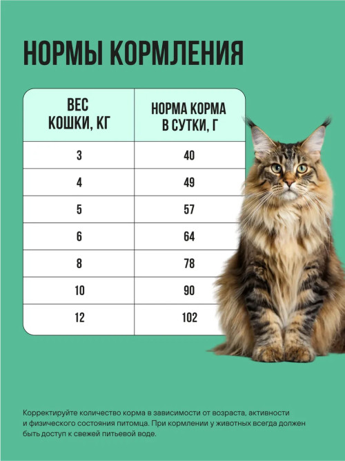 BOWL WOW Fresh Meat сухой корм для взрослых стерилизованных кошек с индейкой, курицей  и шпинатом - 4 кг