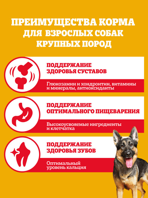 Pedigree сухой корм для взрослых собак крупных пород больше 25 кг, с говядиной - 13 кг