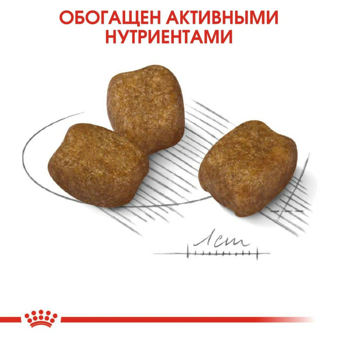 Royal Canin Mini Dental Care сухой корм для собак мелких пород с повышенной чувствительностью зубов - 3 кг