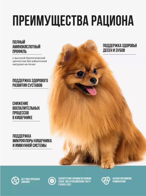 BOWL WOW сухой корм для взрослых собак мелких пород с индейкой, рисом и розмарином - 2 кг