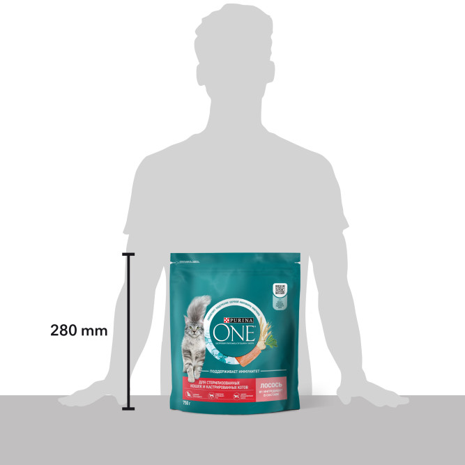 Purina ONE сухой корм для стерилизованных кошек и кастрированных котов с лососем и пшеницей  - 750 г