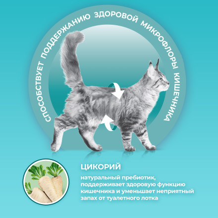 Purina One сухой корм для взрослых стерилизованных домашних кошек с курицей - 3 кг