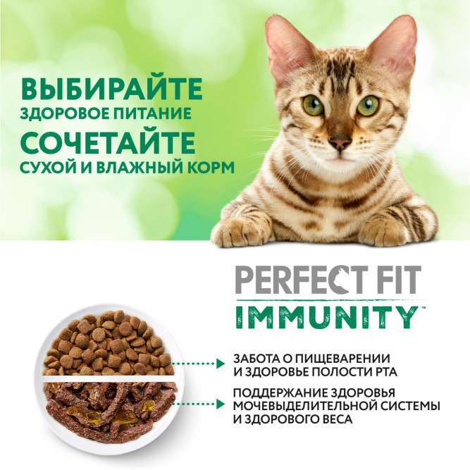 Perfect Fit Immunity сухой корм для поддержания иммунитета кошек, с говядиной и добавлением семян льна и голубики - 580 г