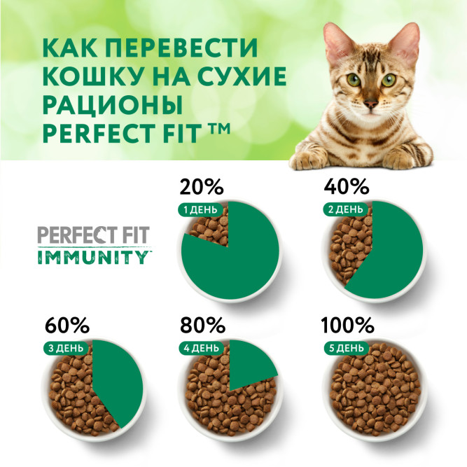 Perfect Fit Immunity сухой корм для поддержания иммунитета кошек, с говядиной и добавлением семян льна и голубики - 580 г