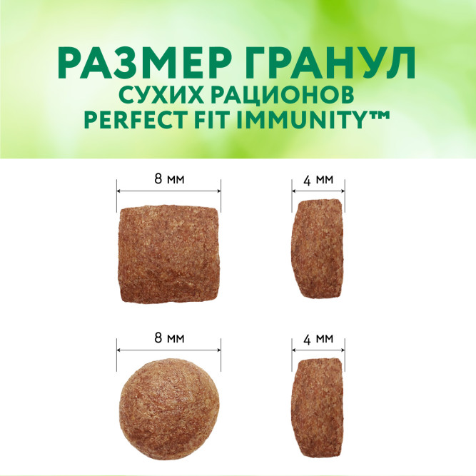 Perfect Fit Immunity сухой корм для поддержания иммунитета кошек, с говядиной и добавлением семян льна и голубики - 580 г