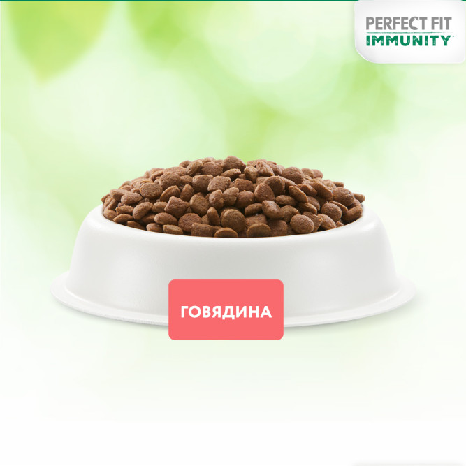 Perfect Fit Immunity сухой корм для поддержания иммунитета кошек, с говядиной и добавлением семян льна и голубики - 580 г