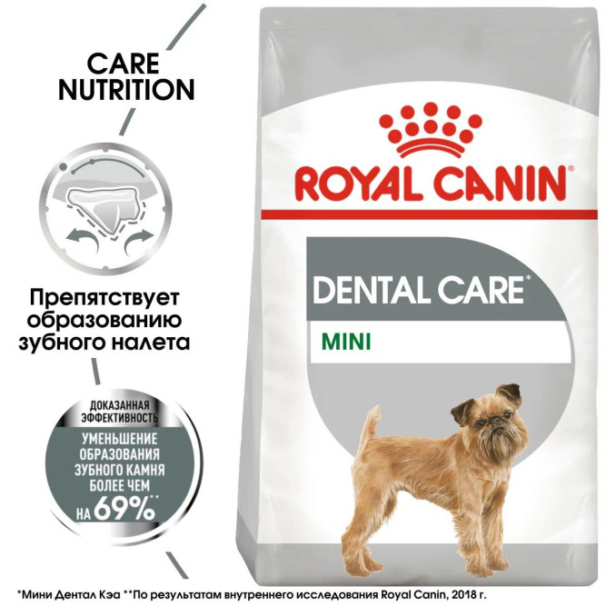 Royal Canin Mini Dental Care сухой корм для собак мелких пород с повышенной чувствительностью зубов - 1 кг