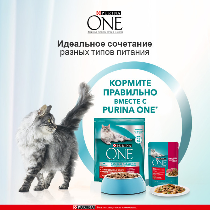 Purina ONE сухой корм для стерилизованных кошек и кастрированных котов с говядиной и пшеницей  - 750 г