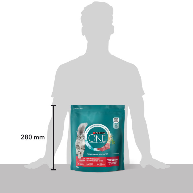 Purina ONE сухой корм для стерилизованных кошек и кастрированных котов с говядиной и пшеницей  - 750 г
