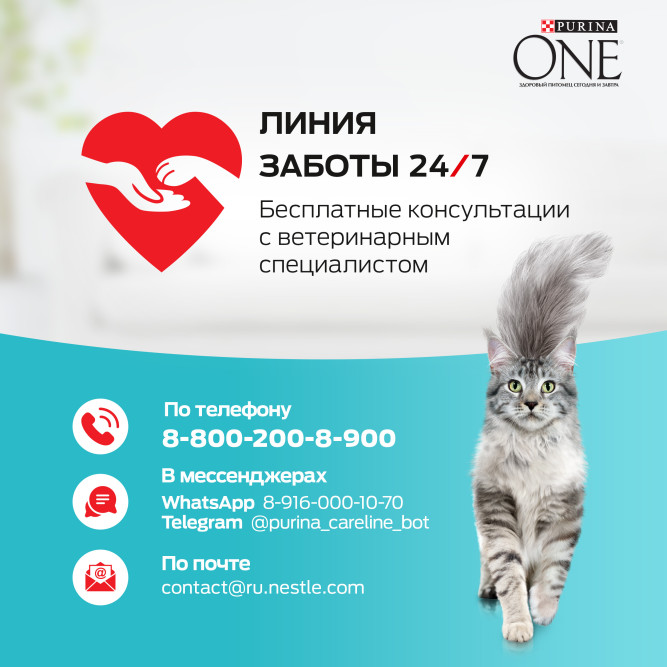 Purina One сухой корм для взрослых стерилизованных кошек с лососем - 3 кг