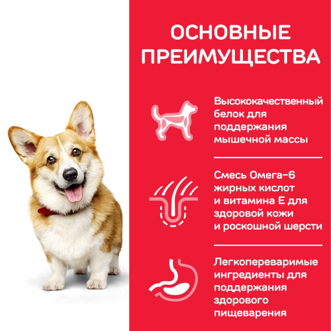 Сухой корм Hills Science Plan для взрослых собак мелких пород для поддержания здоровья кожи и шерсти, с курицей - 1,5 кг