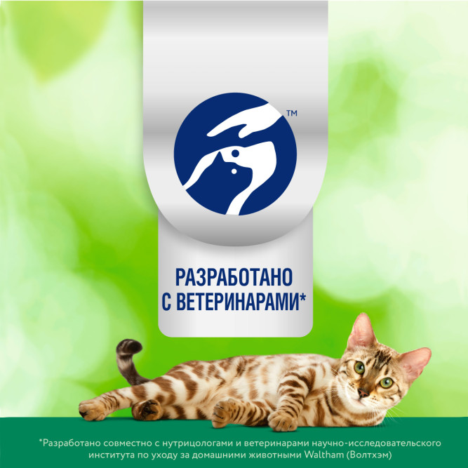 Perfect Fit Immunity сухой корм для поддержания иммунитета кошек, с говядиной и добавлением семян льна и голубики - 1,1 кг