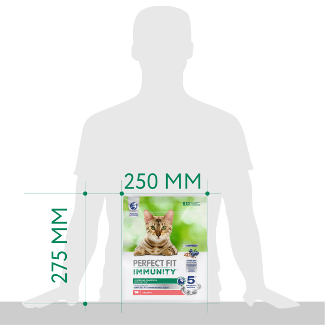 Perfect Fit Immunity сухой корм для поддержания иммунитета кошек, с говядиной и добавлением семян льна и голубики - 1,1 кг