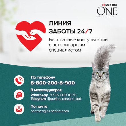 Purina One Природа Здоровья сухой корм для взрослых кошек, с индейкой - 680 г