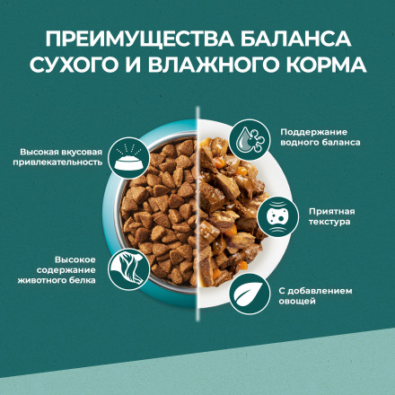 Purina One Природа Здоровья сухой корм для взрослых кошек, с индейкой - 680 г