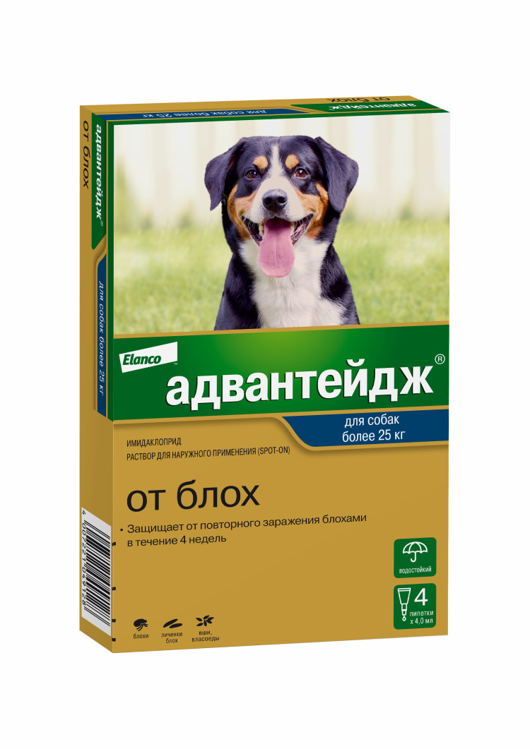 Адвантейдж капли на холку от блох для собак весом более 25 кг - 4 пипетки -  купить в Москве | КотМатрос